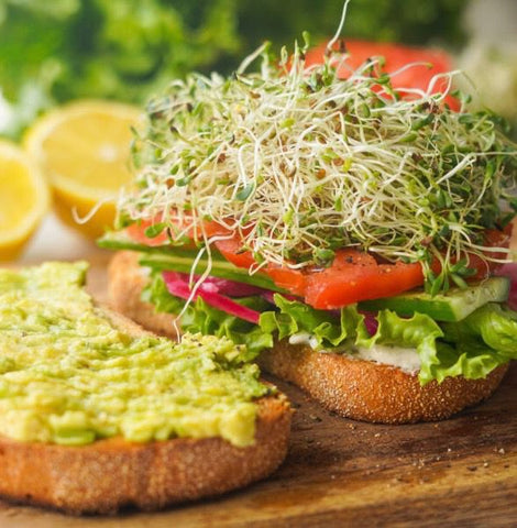 Organic Sourdough Vegetarian feast sandwich (alfafa sprouts, avocado, provolone) w/side of soup